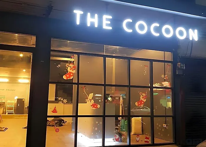 The Cocoon Auberge de jeunesse