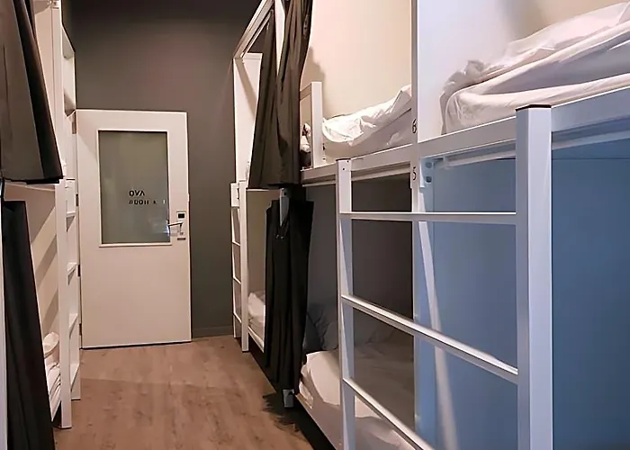 The Cocoon Auberge de jeunesse *