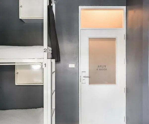 The Cocoon Auberge de jeunesse *